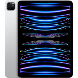 Acheter Apple iPad Pro 11" (2022) Débloqué Occasion