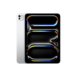 Acheter Apple iPad Pro 11" (2024) Débloqué Occasion